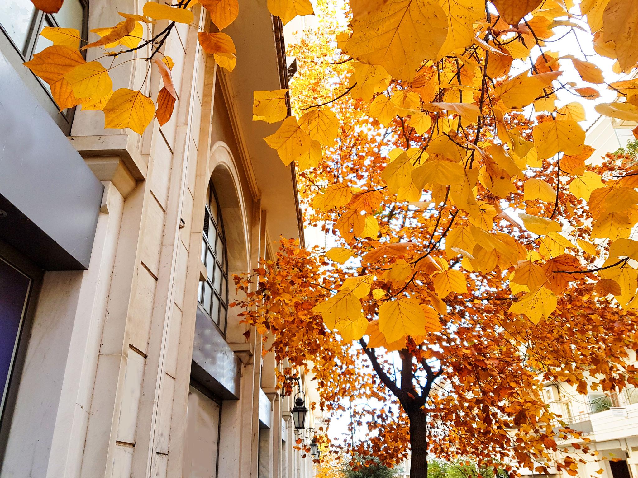 Why Athens Is a Year-Round Destination